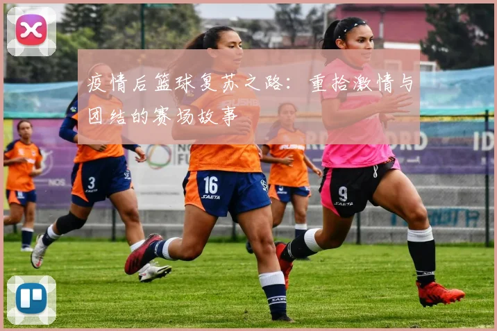 疫情后篮球复苏之路：重拾激情与团结的赛场故事