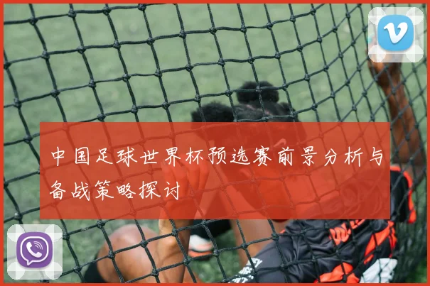 中国足球世界杯预选赛前景分析与备战策略探讨