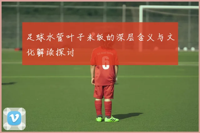 足球水管叶子米饭的深层含义与文化解读探讨