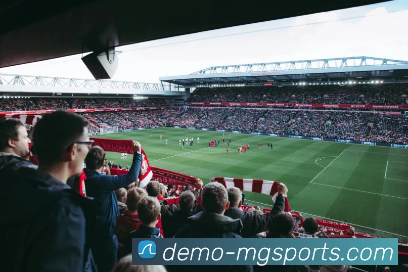 满贯体育APP 封面图